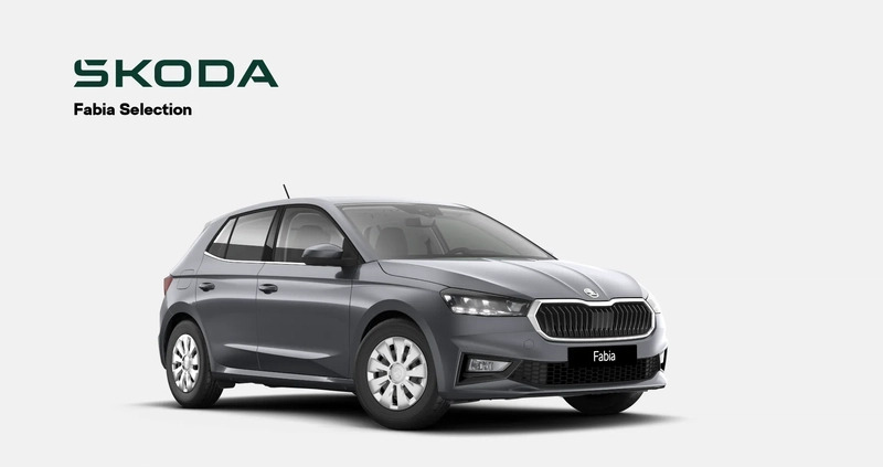 Skoda Fabia cena 99000 przebieg: 5, rok produkcji 2024 z Tolkmicko małe 29